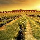 Livermore Valley Wine Country