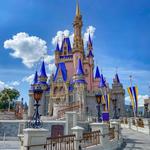 Magic Kingdom Park