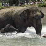 Smithsonian National Zoological Park