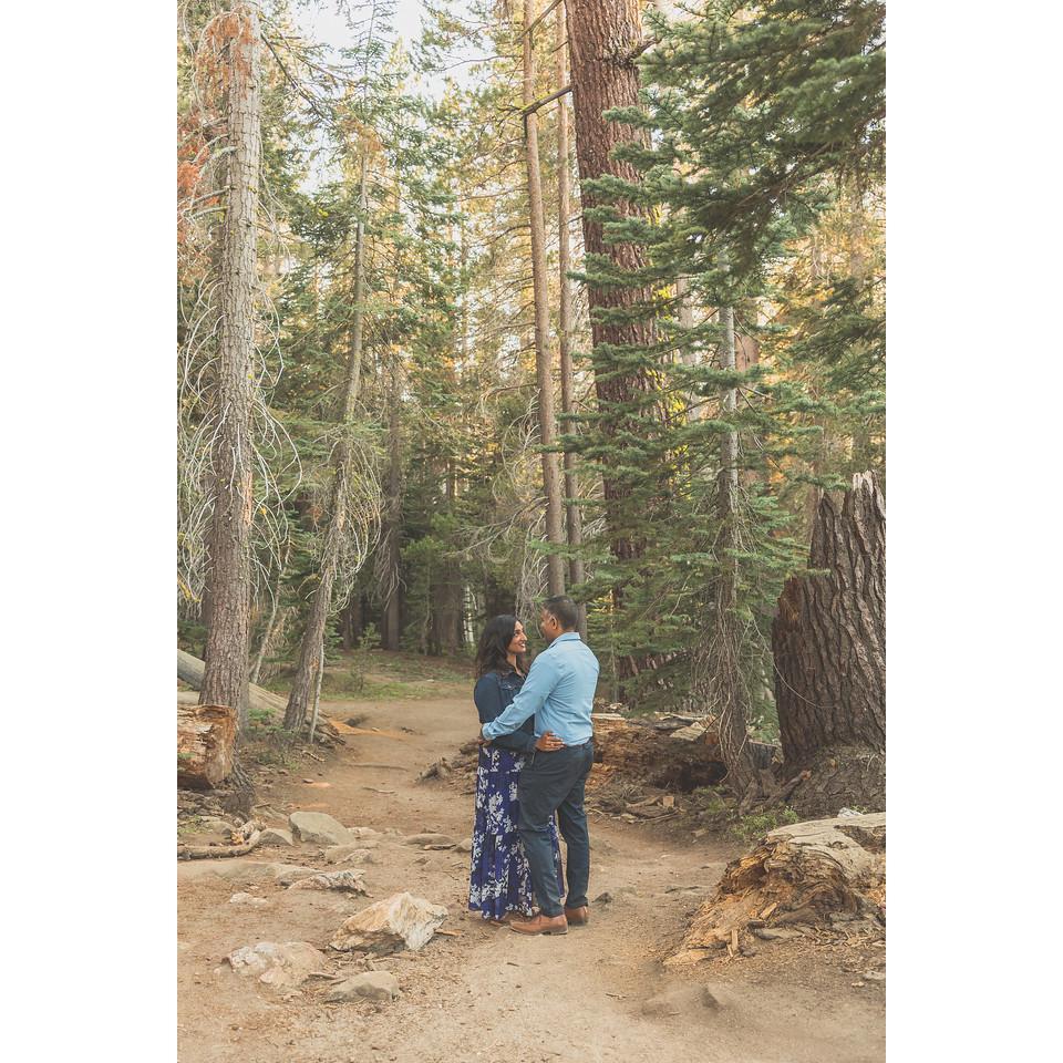 E-session, Yosemite National Park