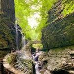 Watkins Glen