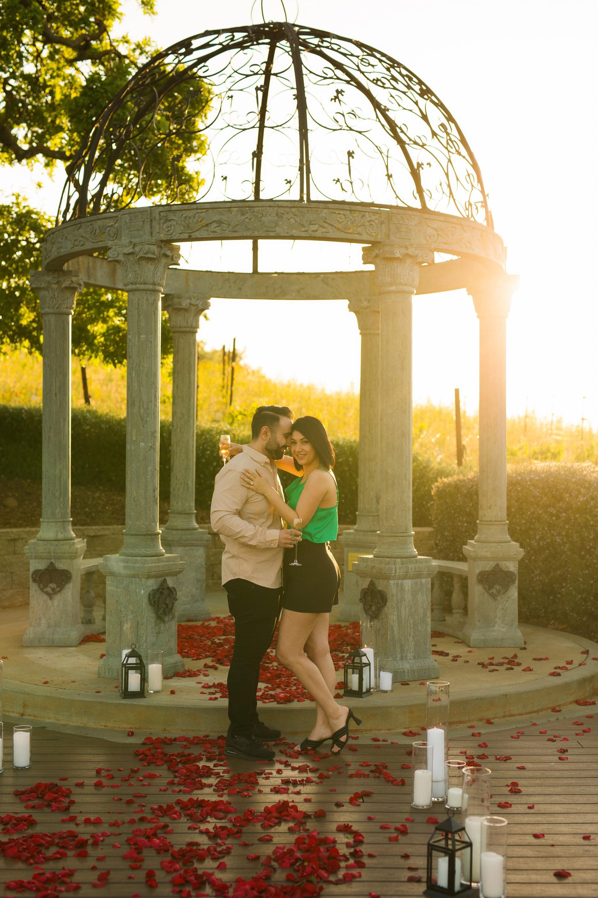 The Wedding Website of Ryan Maroufi and Roza Asadi