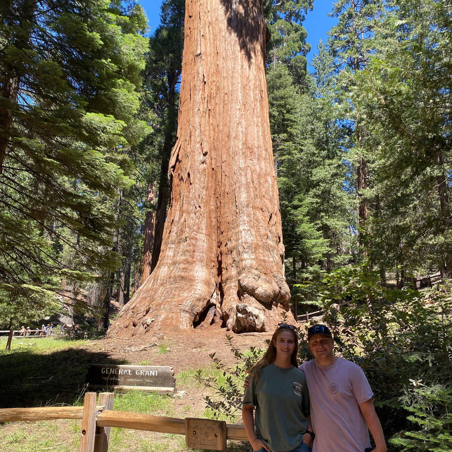 August 4, 2023 - Sequoia National Park