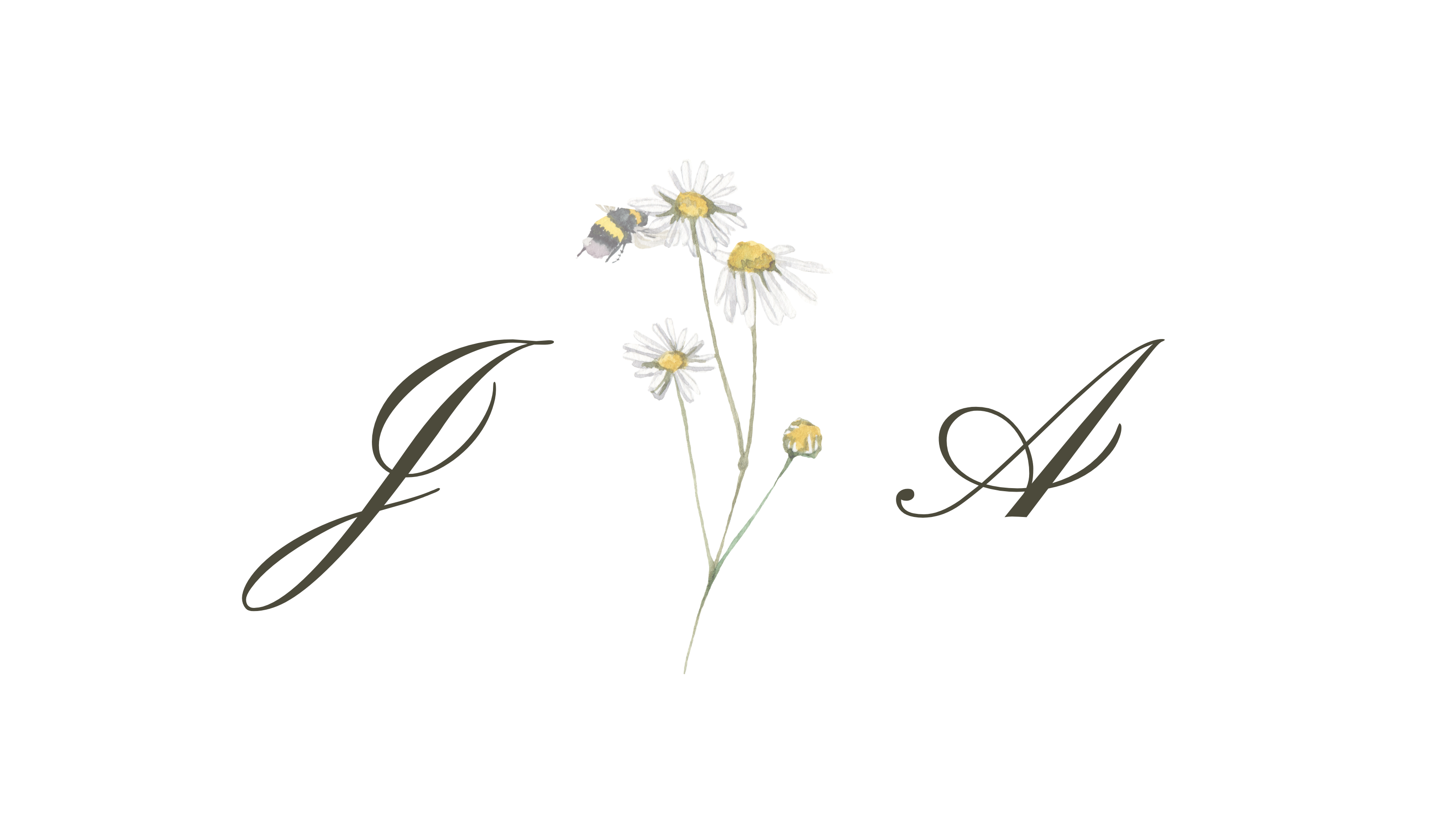 The Wedding Website of Alexa M. Chiroussot-Chambeaux and Jeffrey T. Quinn