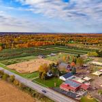 Blakes Farms