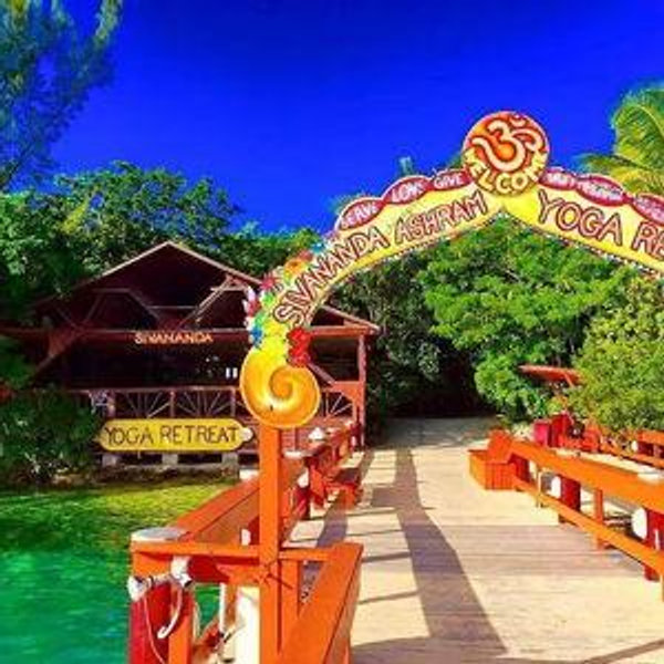Yoga in Paradise