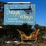 Magic Wings Butterfly Conservatory