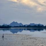 Si Chomphu Community Tourism and Homestay