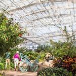 Butterfly Wonderland