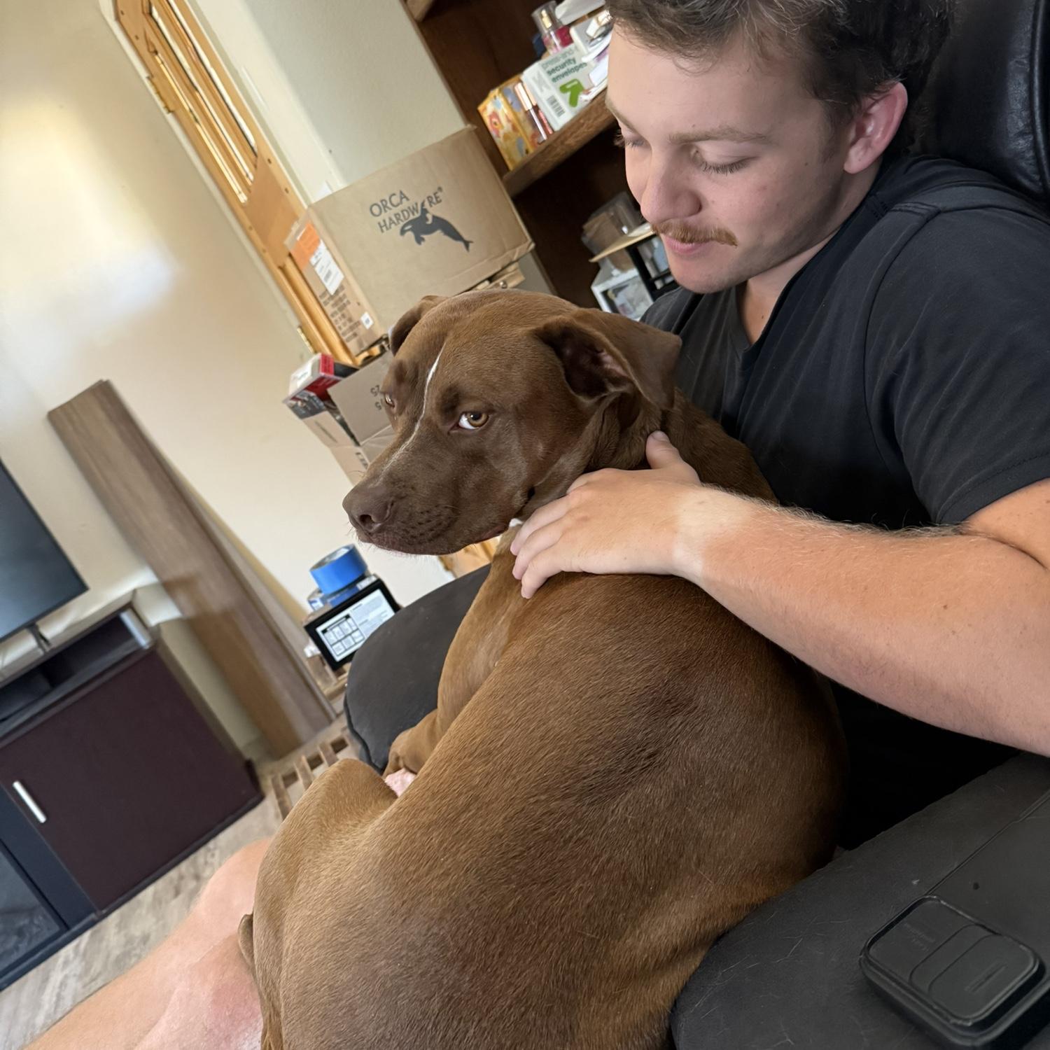Another viscous attack dog 🙄