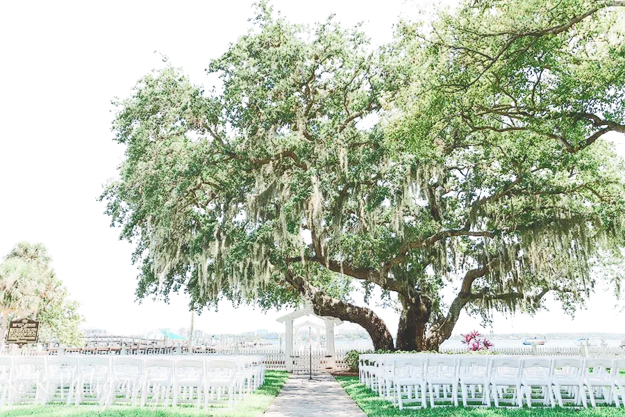 The Wedding Website of Ellie McMahon and David Jablonski