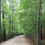 American Tobacco Trail