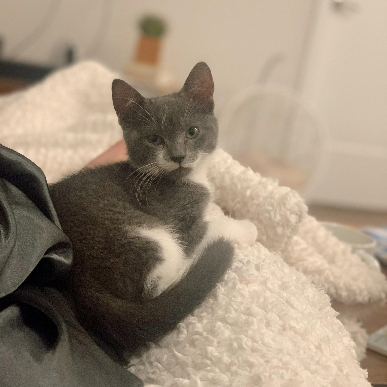 Baby Poncey
