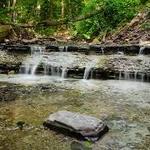 Highbanks Metro Park