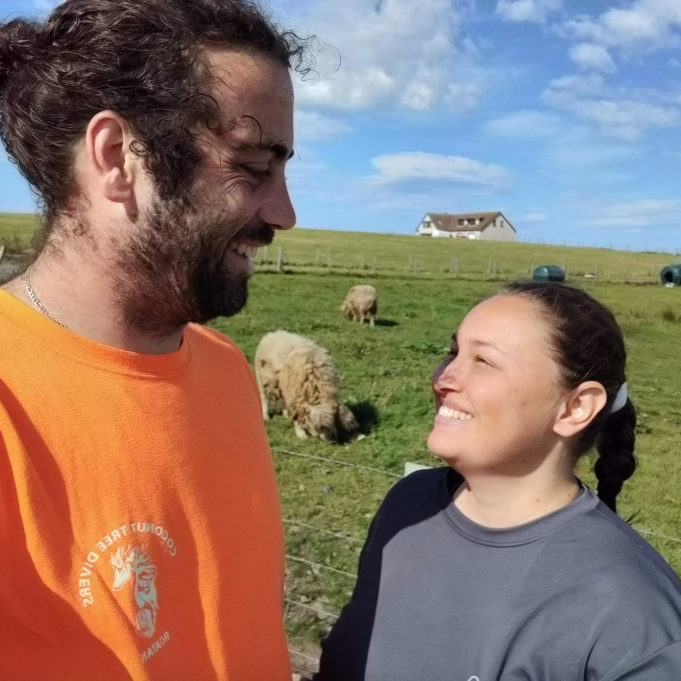 Mangalica pigs in Scotland!