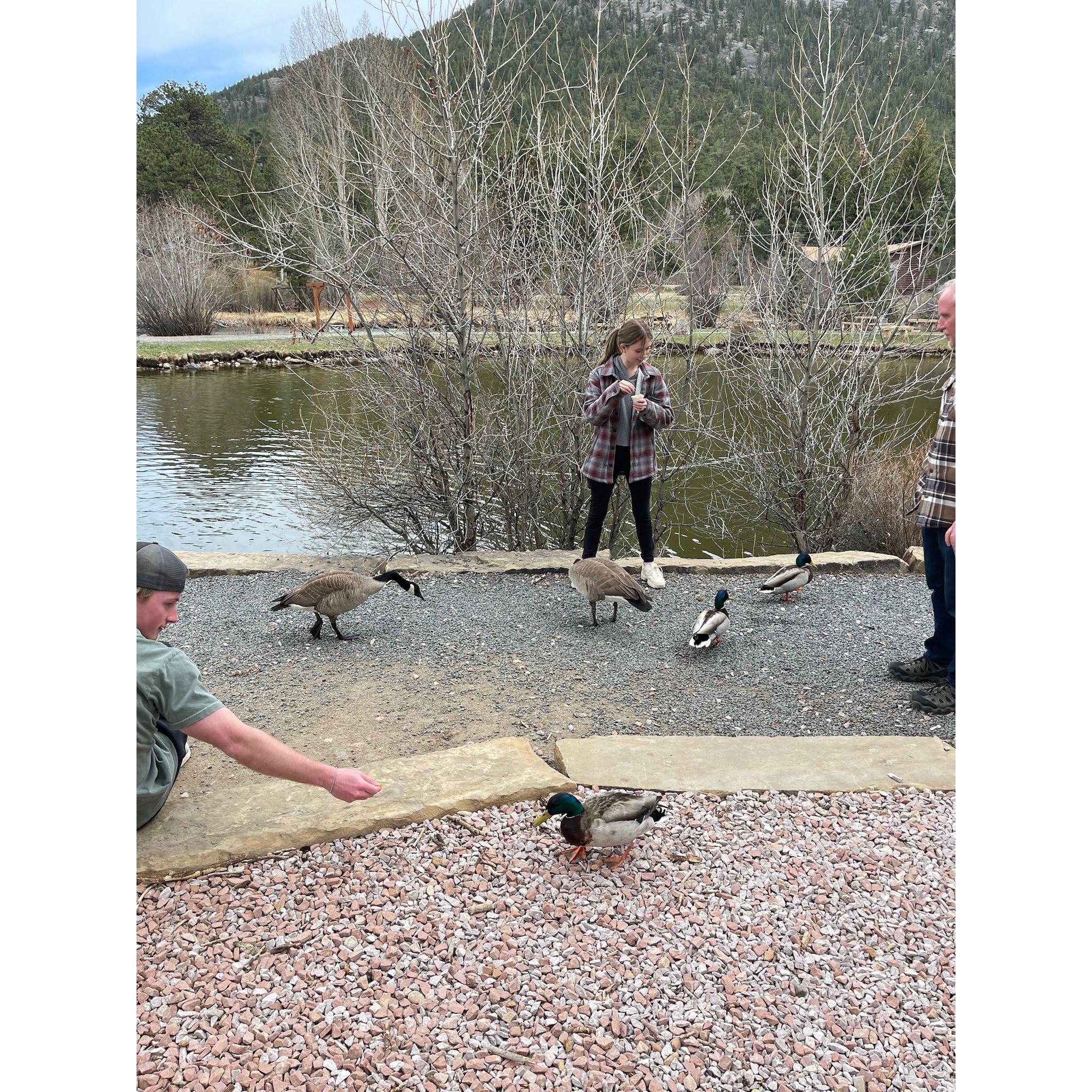 Taylor loves animals, so after the proposal they went to a coffee shop where she could feed the ducks!