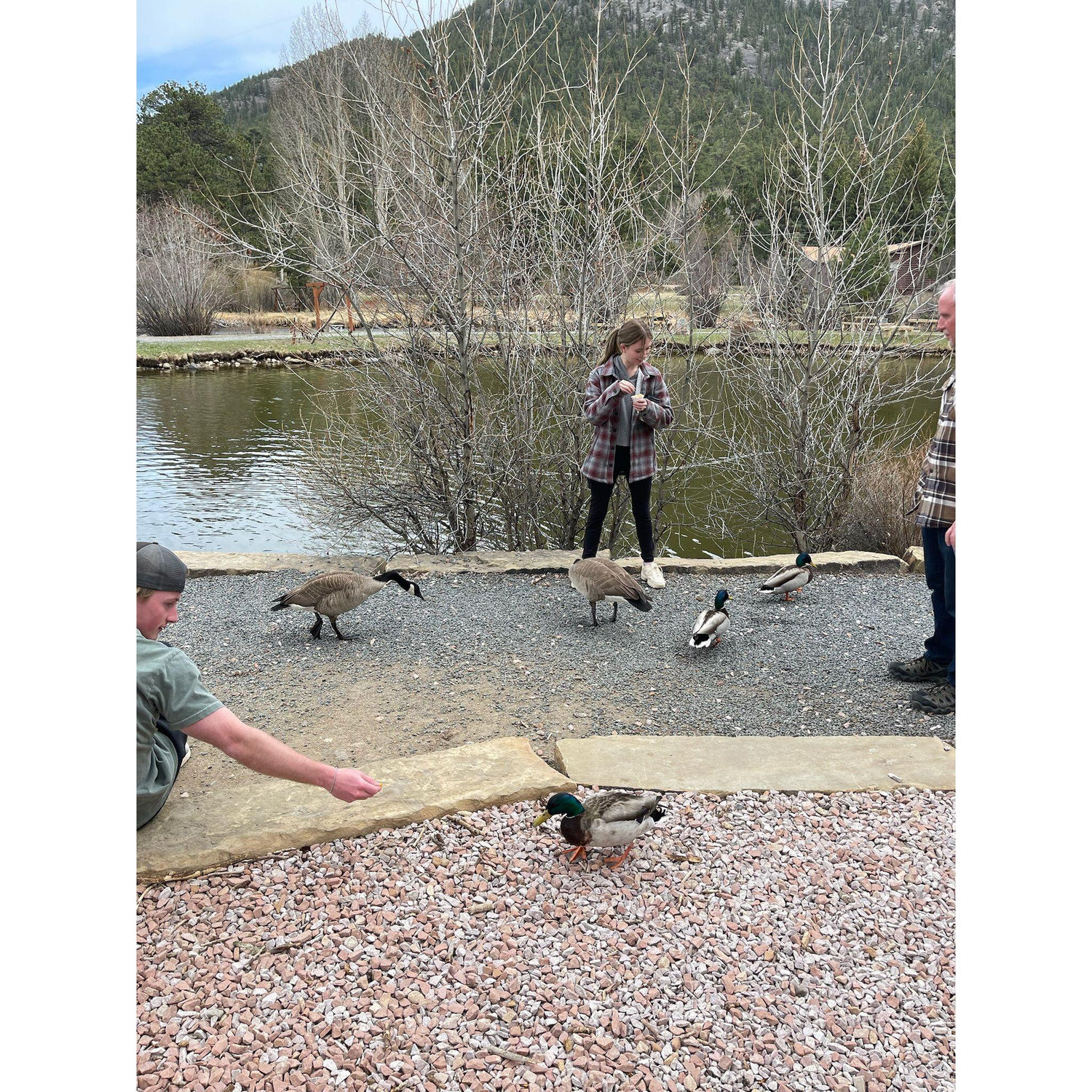 Taylor loves animals, so after the proposal they went to a coffee shop where she could feed the ducks!