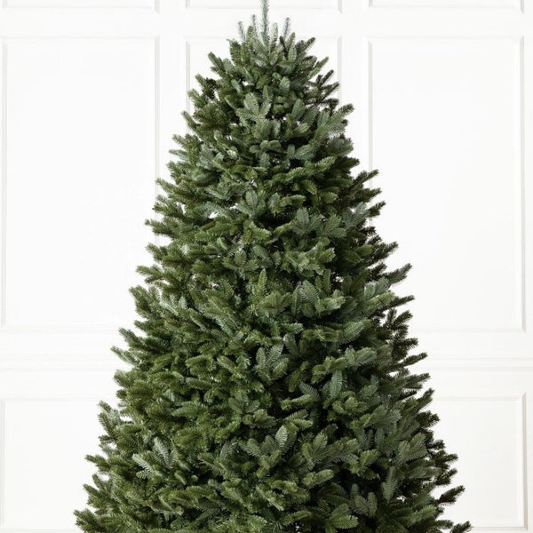 BH Fraser Fir® Christmas Tree, 7.5 Ft, Full, Unlit