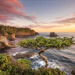 Cape Flattery Trail