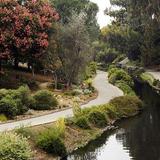 UC Davis Arboretum and Public Garden