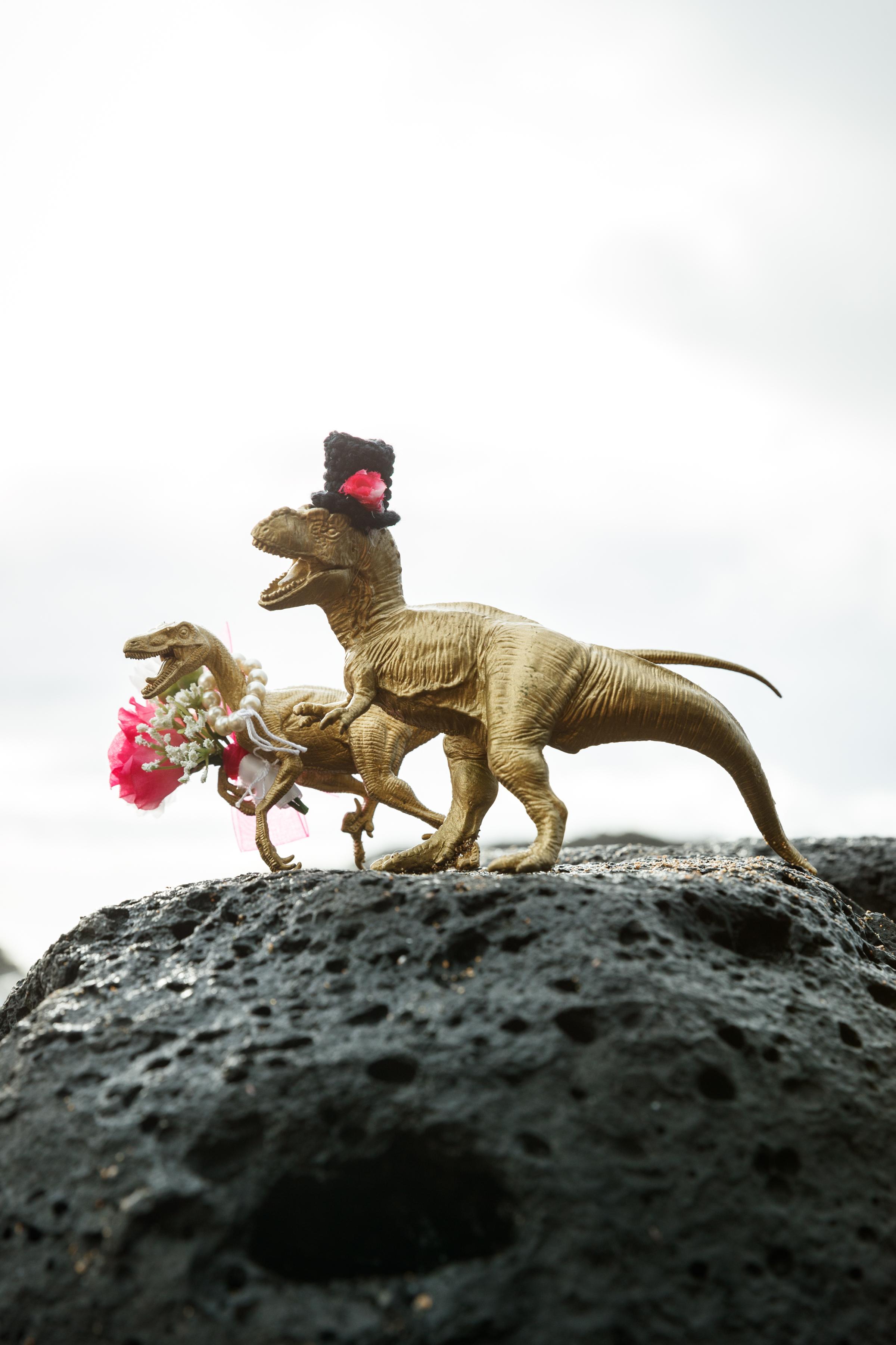 The Wedding Website of Alison Wilbur and Steve Wishnousky