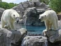 ABQ BioPark - Zoo