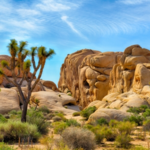 Joshua Tree National Park Visitor Center