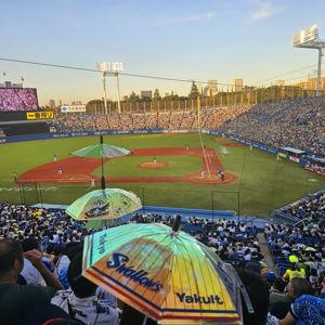 Go to Tokyo Baseball Game