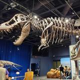 Orlando Science Center