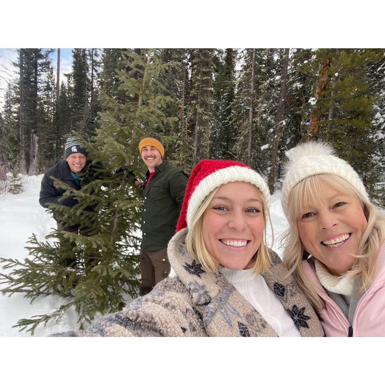 Cutting down a Christmas tree with the family