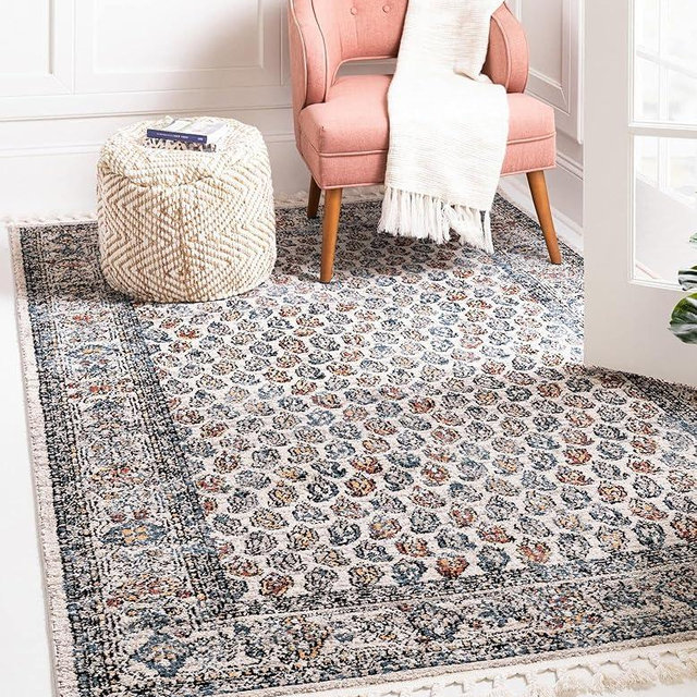 Rugs.com Aramis Collection Rug – 6' x 9' Multi Medium Rug Perfect for Bedrooms, Dining Rooms, Living Rooms