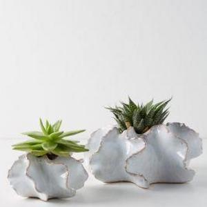 Ceramic Planter Set