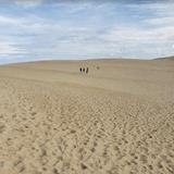 Jockey's Ridge State Park