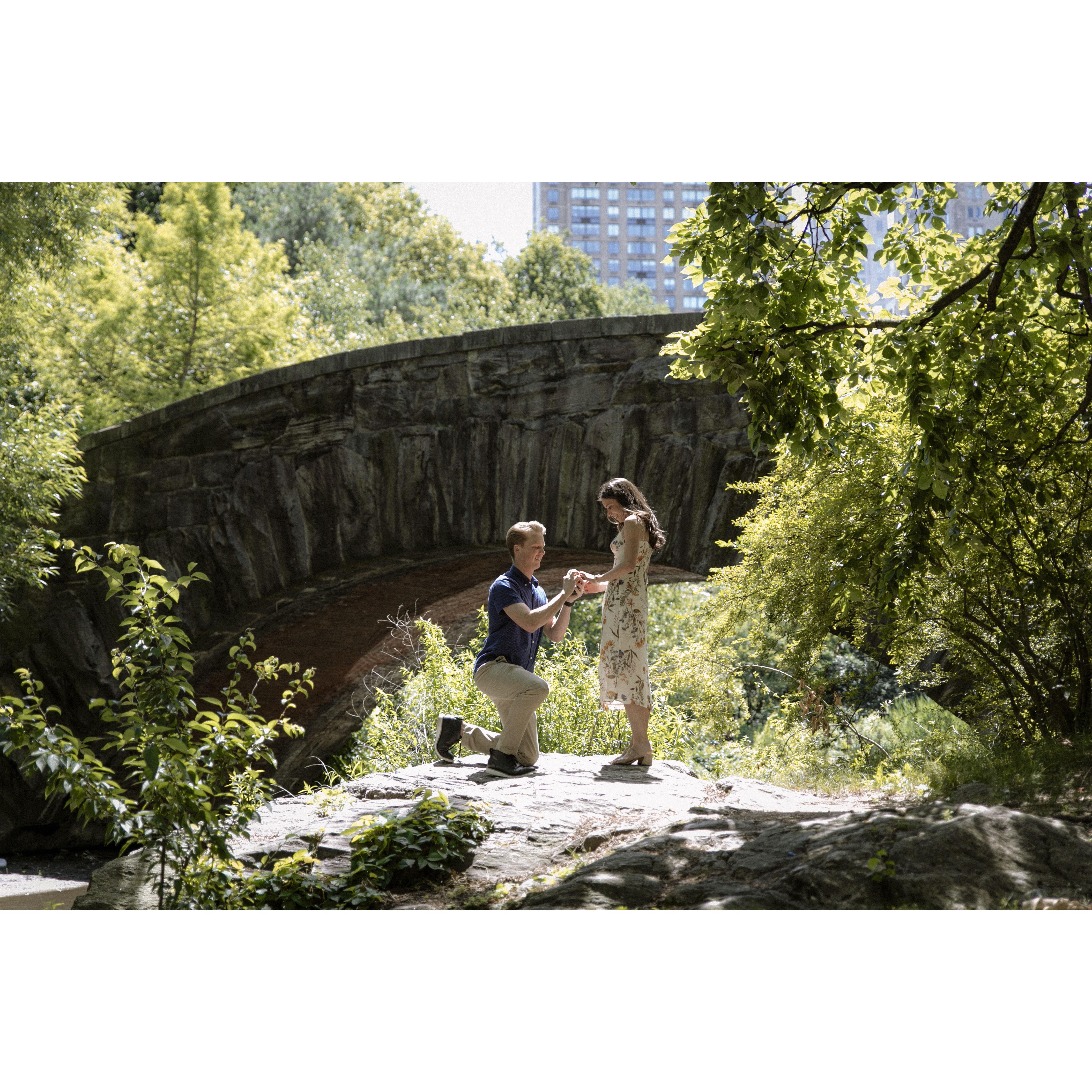 Surprise engagement in Central Park!
