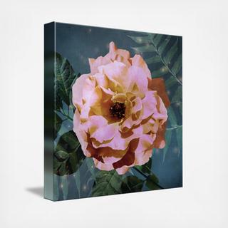 Moonlight Bloom Printed Canvas