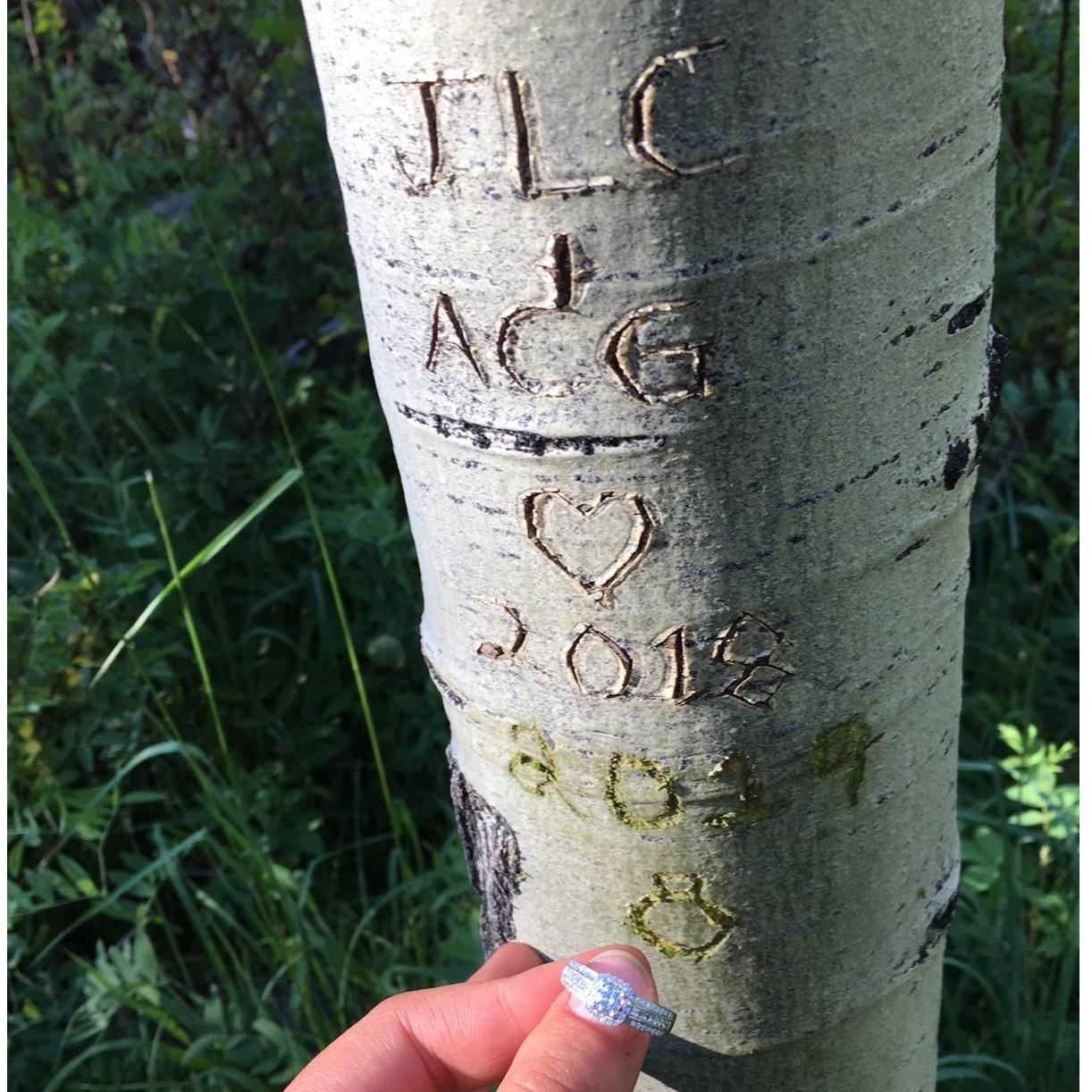 The tree where Lane carved our initials into it in 2018, and in 2019 he asked Carysa to marry him right at this spot.
