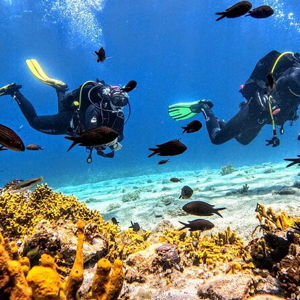 Scuba Diving (Honeymoon)