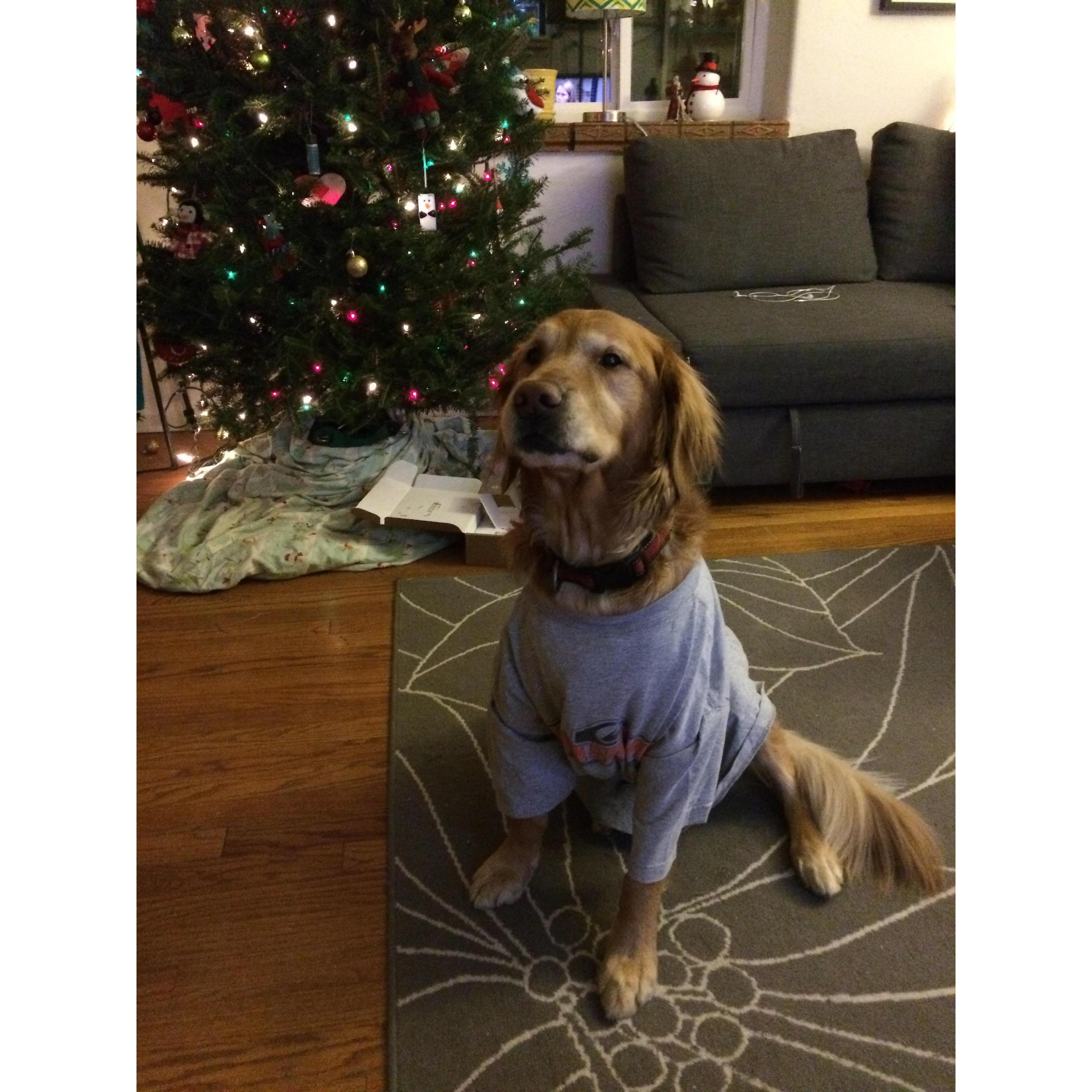 Fashionable Bailey