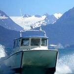 Water Taxi Wildlife & Scenic Cruise