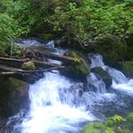 City Creek Canyon Trailhead