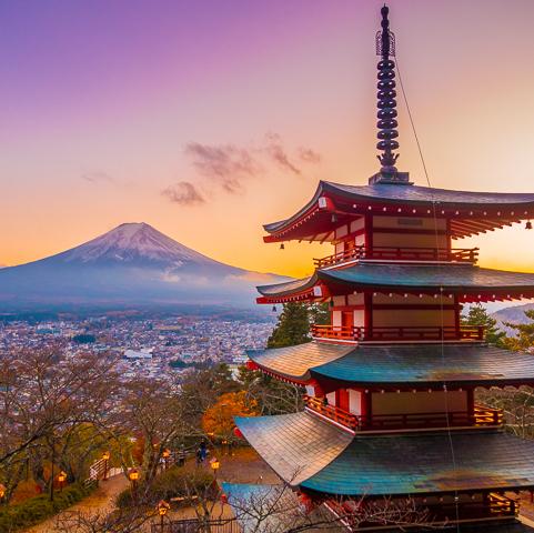 Honeymoon to Japan 🌸