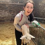 Hold Baby Lamb