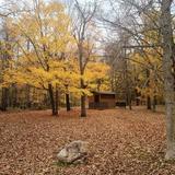 Fritz Loven Park