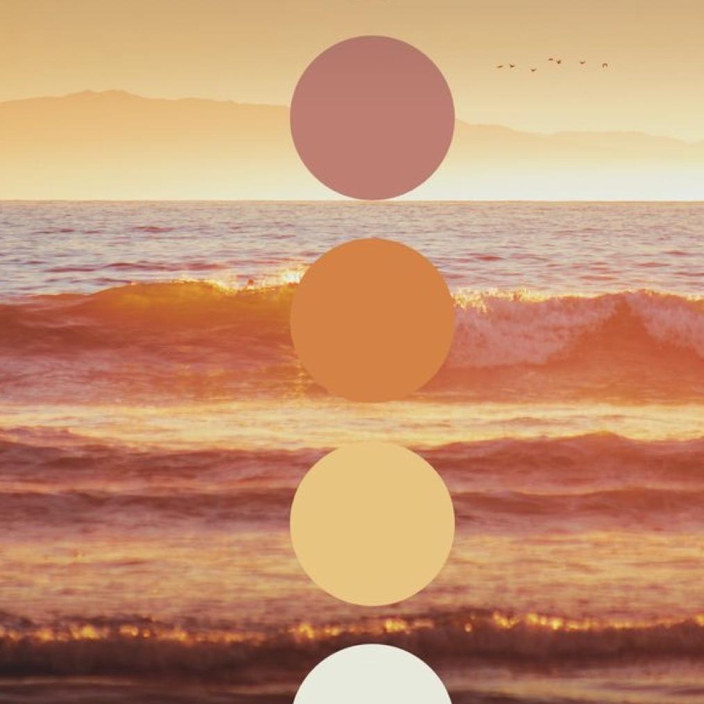 Guest Color Palette