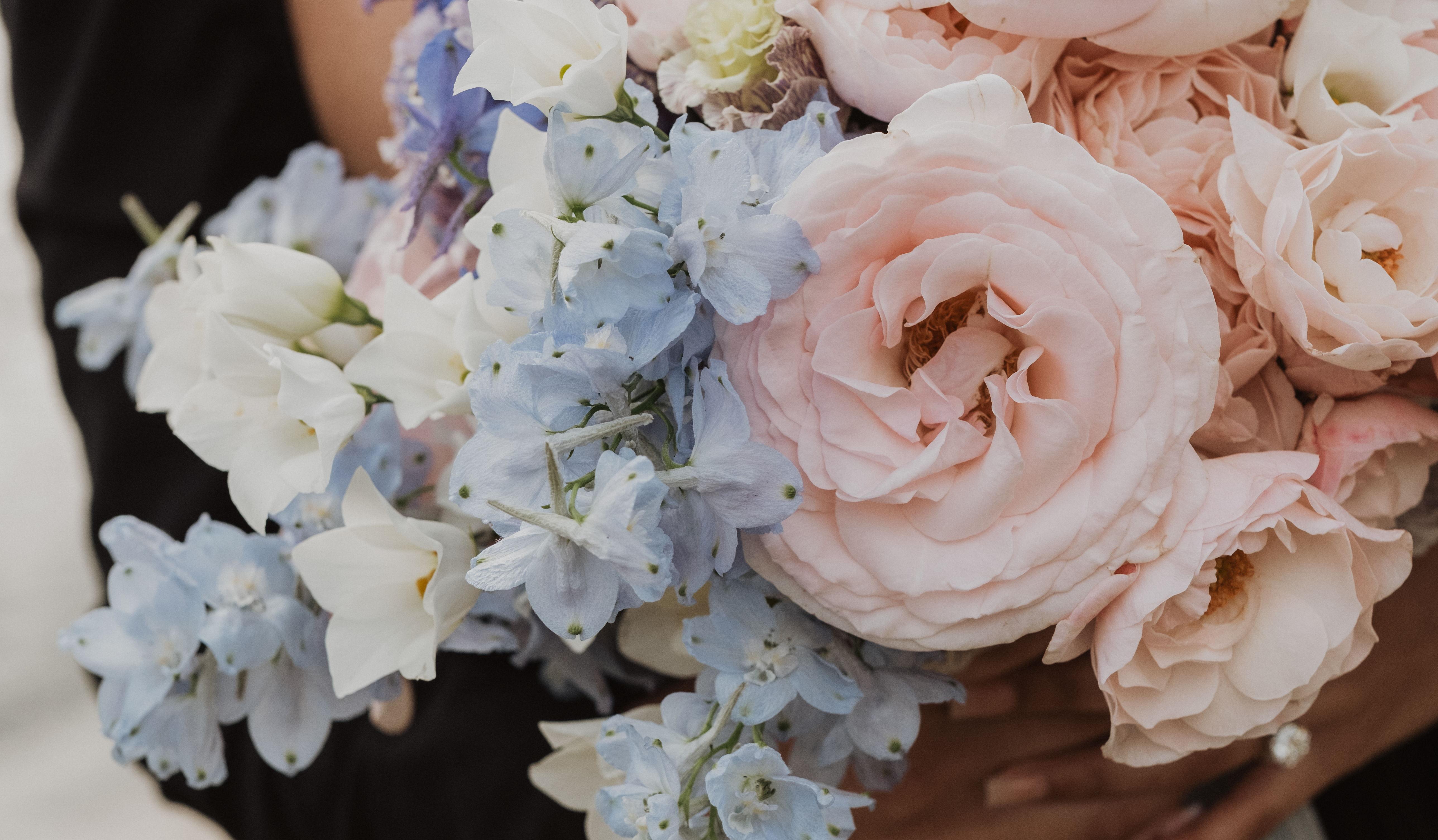 Hero Slideshow Image 2