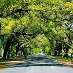 Audubon Park