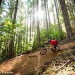 Mountain Bike at Alsea Falls