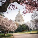 Washington