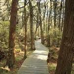 White Memorial Conservation Center