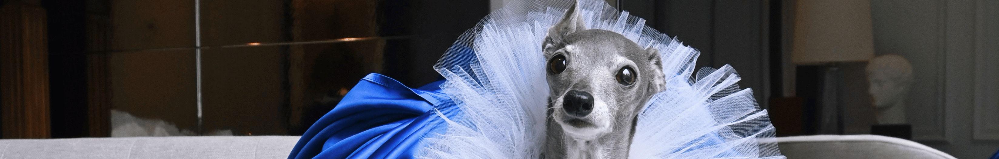The Wedding Website of Joseph Gallagher and Myriam Lin